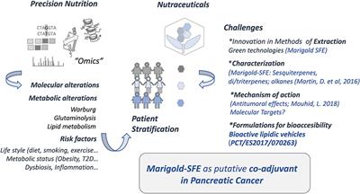 Marigold Supercritical Extract as Potential Co-adjuvant in Pancreatic Cancer: The Energetic Catastrophe Induced via BMP8B Ends Up With Autophagy-Induced Cell Death